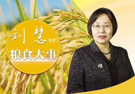 确保农民共享人工智能红利